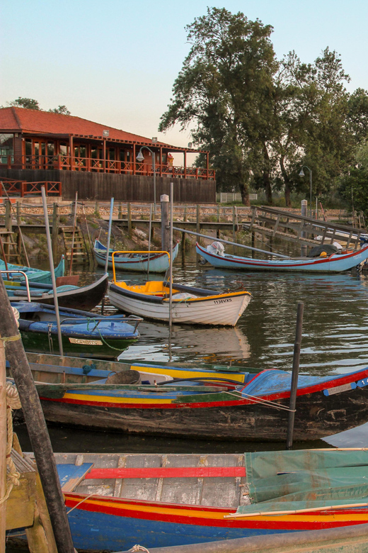 Escaroupim: 1 hour boat trip, guided tour - The Avieiros and their river homes