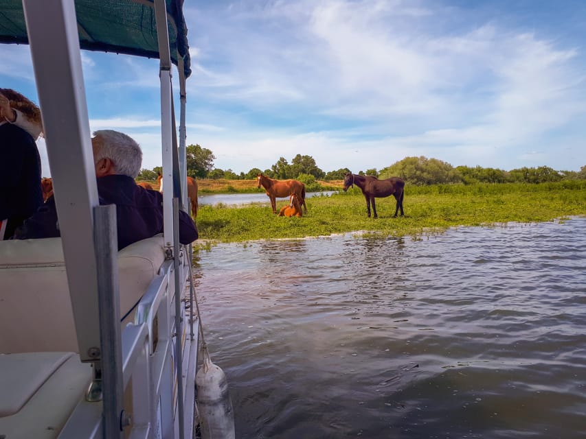 Escaroupim: 1 hour boat trip, guided tour - What the $15 price buys you