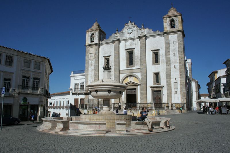 Évora and Megaliths Full-Day Tour from Lisbon - Cork oaks and the working Alentejo
