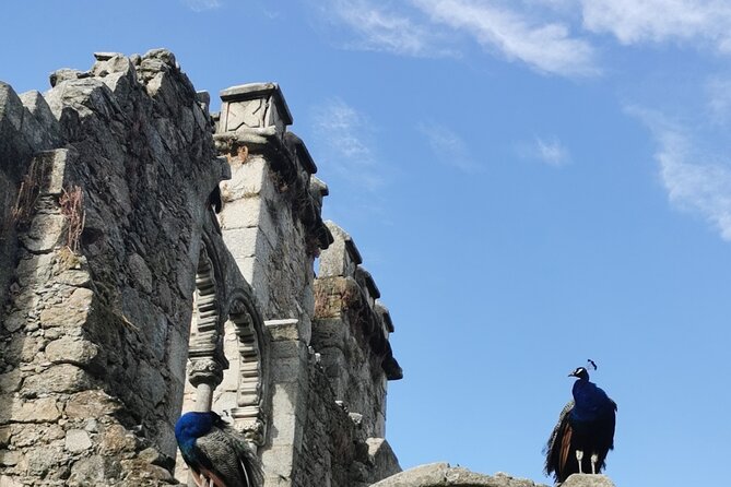 Évora: Private walking tour, By Local Guide - Dom Manuel Palace and the royal connection