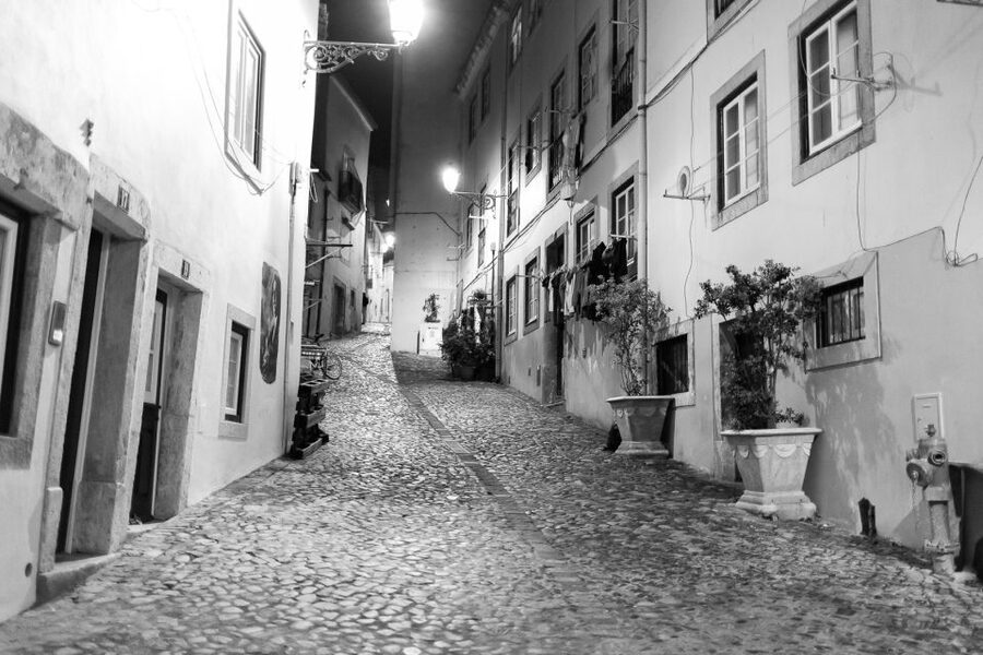 Fado: Musical Walking Tour with Food & Live Show - How much value do you get for $100?