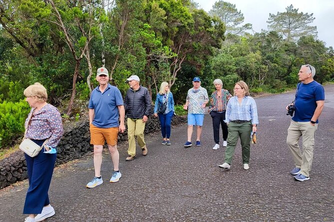 Faial Island: Full Day Tour – Nature and Local Culture - Small-group comfort and the role of the guide