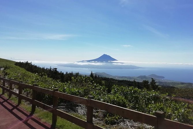 Faial Island: Half Day Tour - Monte da Guia gives you the first great view