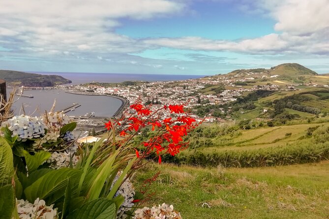Faial Island: Half Day Tour - Capelinhos feels like another planet