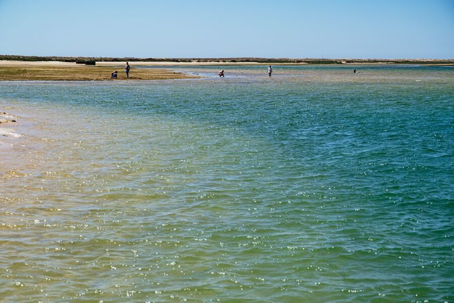 Faro: Deserta Island and Farol Island Catamaran Boat Trip - The short stop at Deserta, or Barreta Island