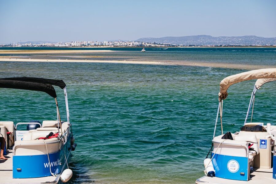 Faro: Deserta Island and Farol Island Catamaran Boat Trip - The return ride and the value of the guide