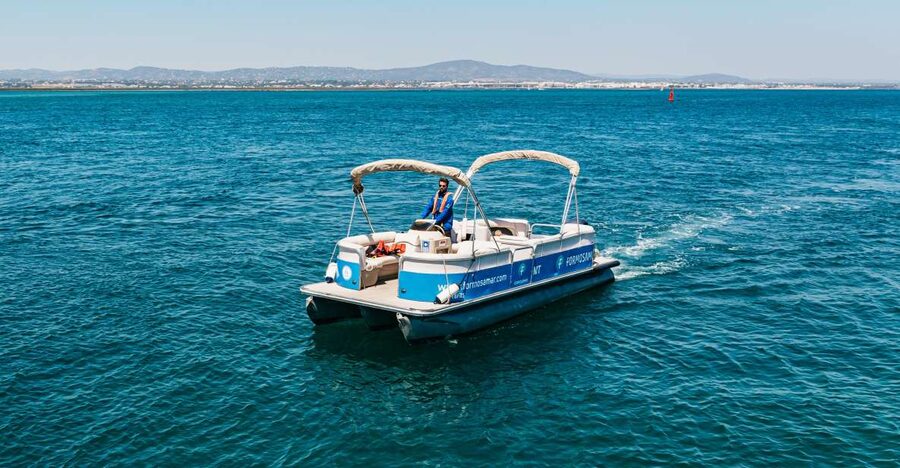 Faro: Deserta Island and Farol Island Catamaran Boat Trip - Comfort, timing, and what to pack