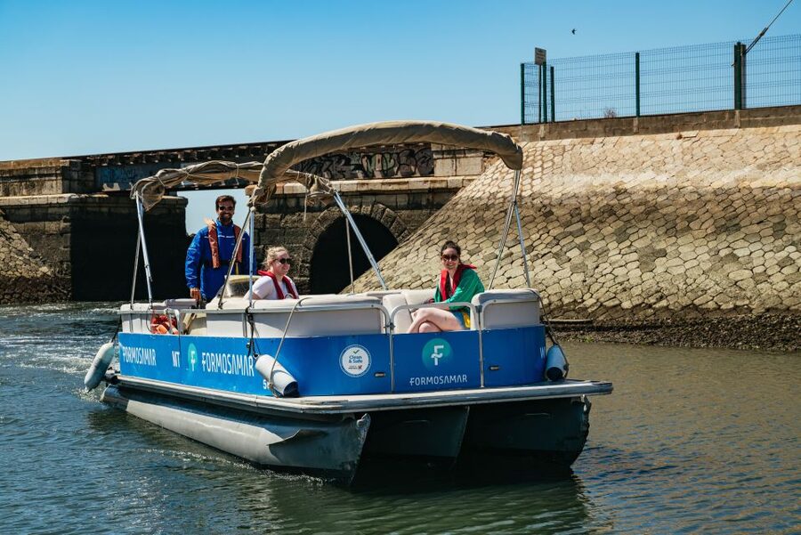 Faro: Deserta Island and Farol Island Catamaran Boat Trip - Reading the Ria Formosa from the water