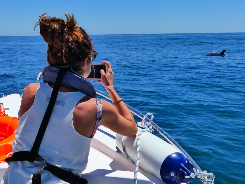 Faro: Dolphin and Wildlife Watching in the Atlantic Ocean - Is $76 a Fair Price?