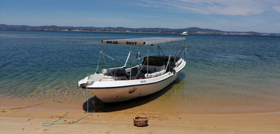 Faro: Eco-Friendly Ria Formosa Bird Watching in Solar Boat - Practical details before you go