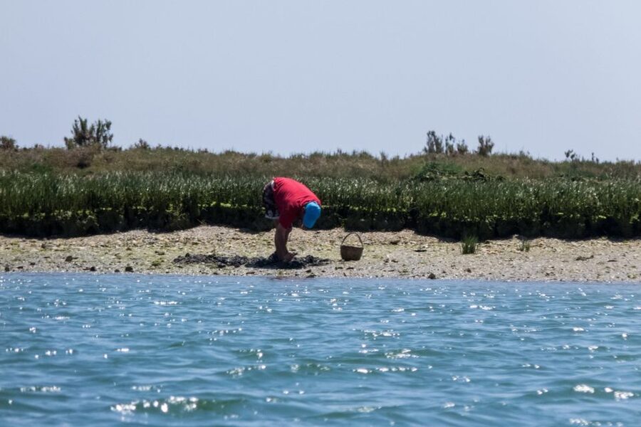 Faro: Kayak Hire in Ria Formosa Natural Park - Key points to know before you book