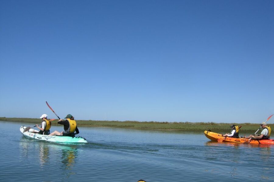 Faro: Kayak Hire in Ria Formosa Natural Park - Why the four-hour rental can be worth it