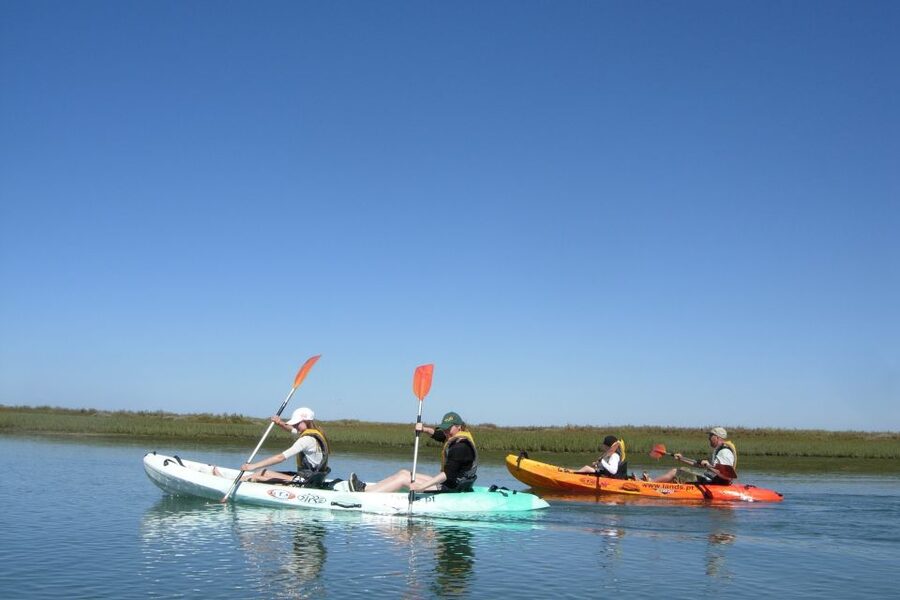 Faro: Kayak Hire in Ria Formosa Natural Park - Wildlife and water views in the Ria Formosa