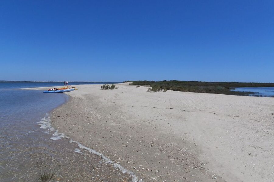 Faro: Kayak Hire in Ria Formosa Natural Park - The physical challenge, especially in wind