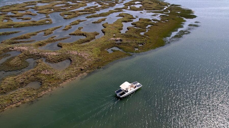 Faro: Ria Formosa Boat Tour by Eco-Friendly Solar Boat - Why the quiet solar boat matters in Ria Formosa