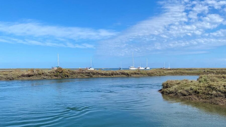 Faro: Ria Formosa Boat Tour by Eco-Friendly Solar Boat - Should you book the Ria Formosa solar boat tour?