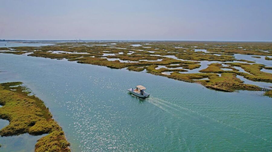 Faro: Ria Formosa Boat Tour by Eco-Friendly Solar Boat - Birdwatching with André, Luis, and Manuel