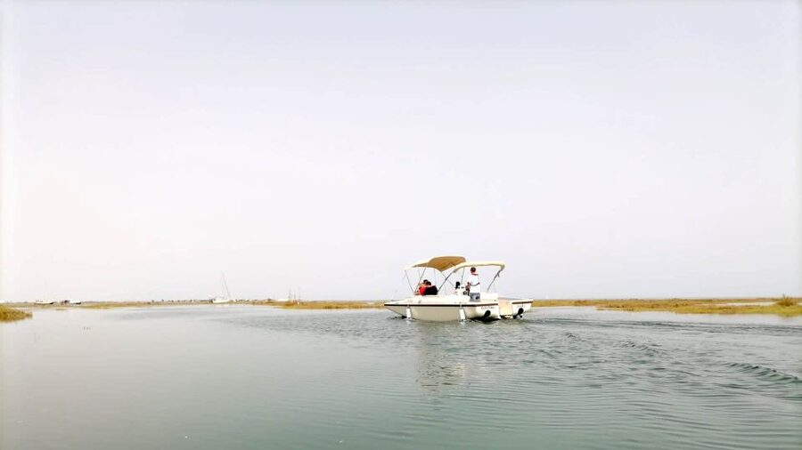 Faro: Ria Formosa Boat Tour by Eco-Friendly Solar Boat - The scenery beyond the birds