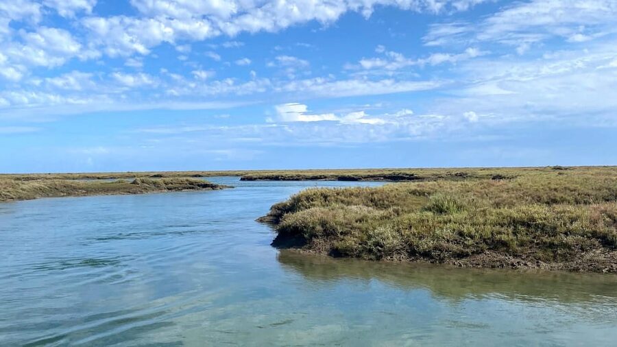 Faro: Ria Formosa Boat Tour by Eco-Friendly Solar Boat - Is $29 a fair price for one hour?
