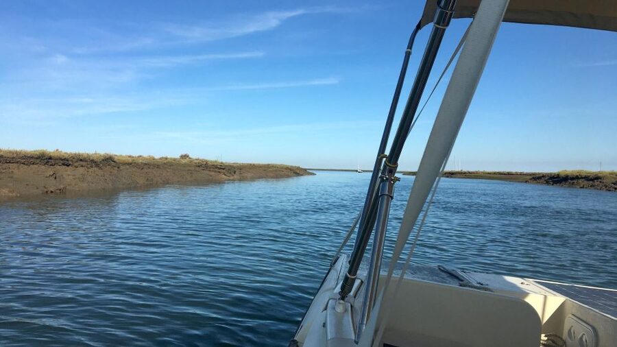 Faro: Ria Formosa Boat Tour by Eco-Friendly Solar Boat - Who will enjoy this Faro boat trip?