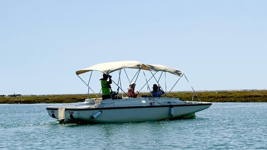 Faro: Ria Formosa Boat Tour by Eco-Friendly Solar Boat - What the one-hour route feels like