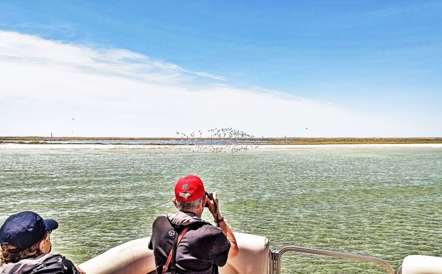 Faro: Ria Formosa Faro Islands Boat Tour - Best times to go and what to pack