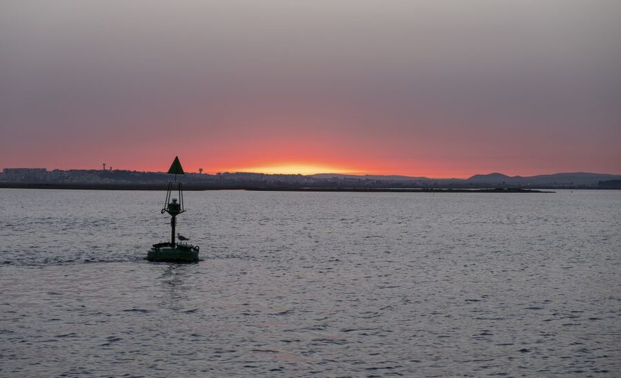 Faro: Ria Formosa Guided Sunset Tour by Catamaran - Seeing Ria Formosa from the channels
