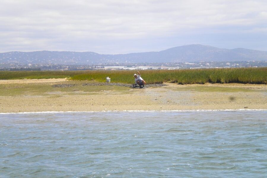 Faro: Ria Formosa Lagoon Small Boat Tour with Local Guide - Faro’s Old Town walls from the water
