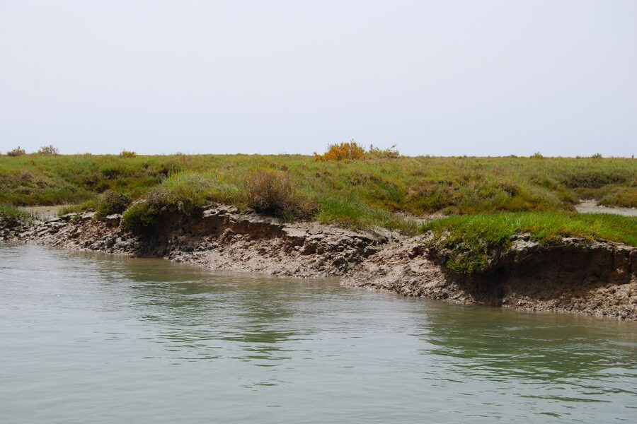 Faro: Ria Formosa Lagoon Small Boat Tour with Local Guide - Boat comfort, group size, and weather