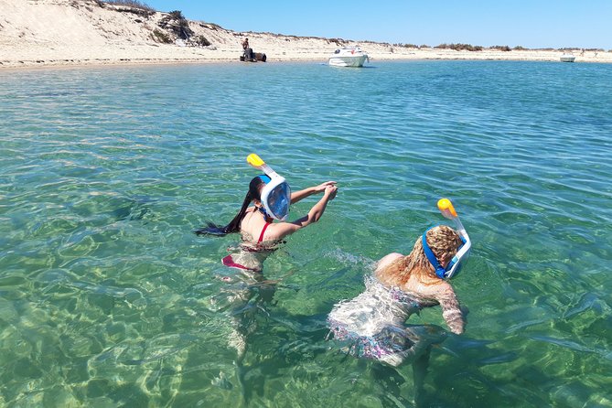 Faro - Ria Formosa tour with visit to 2 islands (Deserta, Farol) 3.5 hours - Cruising through the natural park