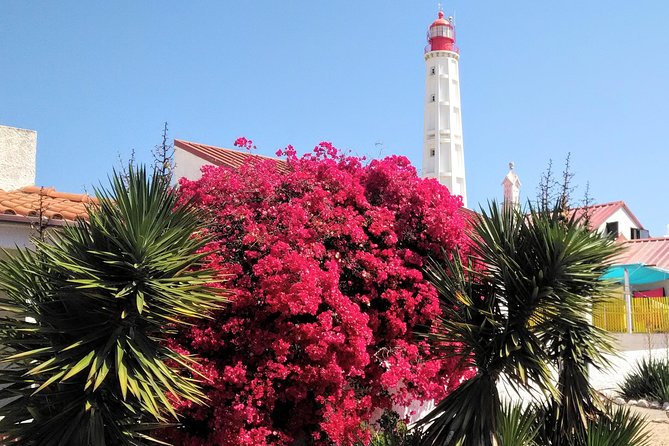 Faro - Ria Formosa tour with visit to 2 islands (Deserta, Farol) 3.5 hours - Deserta Island: clear water and open beach