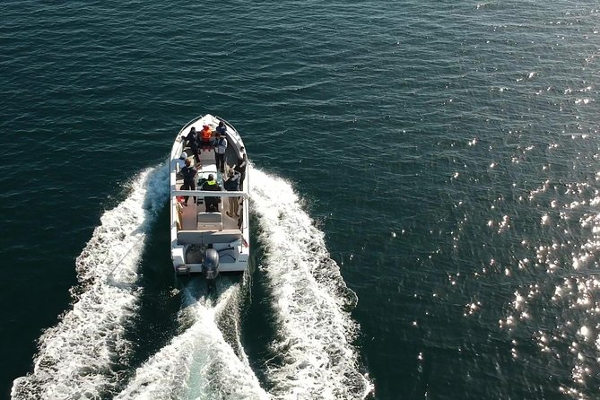 Faro - Ria Formosa tour with visit to 2 islands (Deserta, Farol) 3.5 hours - Who will enjoy this boat trip most