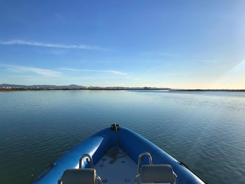 Faro: Speed Boat Tour - Cruising through the natural park