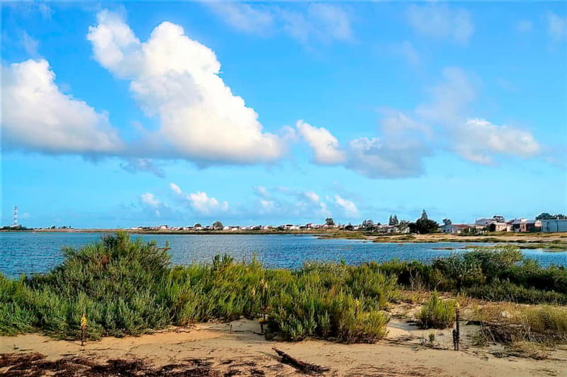 Faro: Sunset 1 hour Ria Formosa Boat Tour - Island views and possible short stops