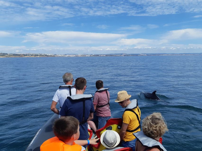From Albufeira: Benagil Caves and Dolphins Guided Boat Tour - Who will enjoy this Albufeira boat trip?