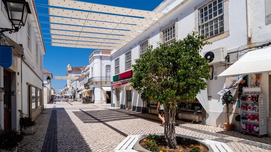 From Albufeira: Full-Day Tour of Algarve Eastern's Finest - Olhão and its famous mercado