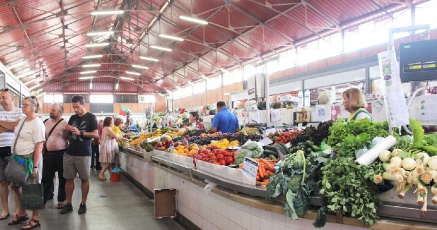 From Albufeira: Full-Day Tour of Algarve Eastern's Finest - Is $76 a fair price?