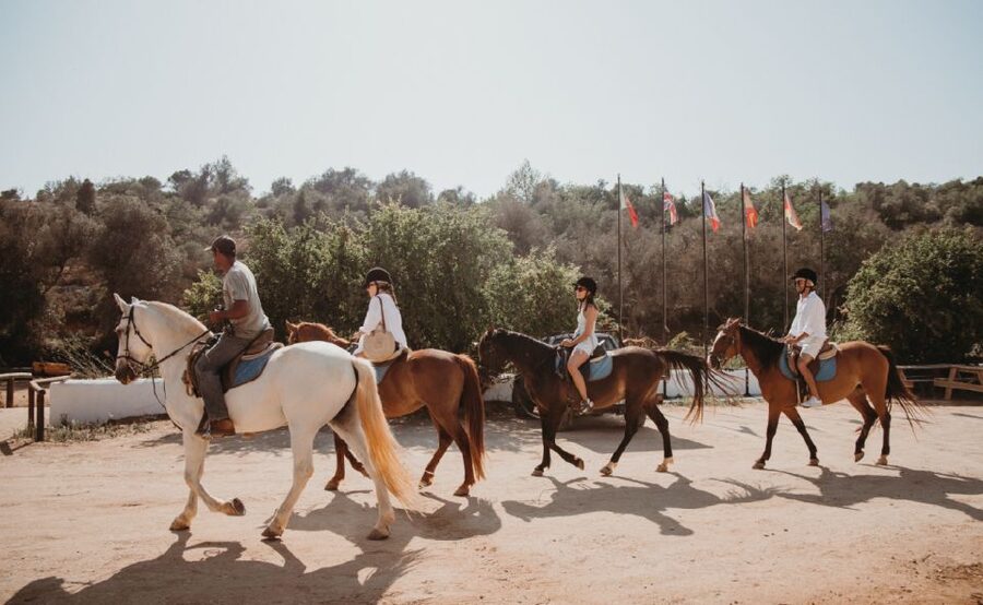 From Albufeira: Half-Day Hidden Gems & Horse Riding Tour - Meeting the horses at the riding yard