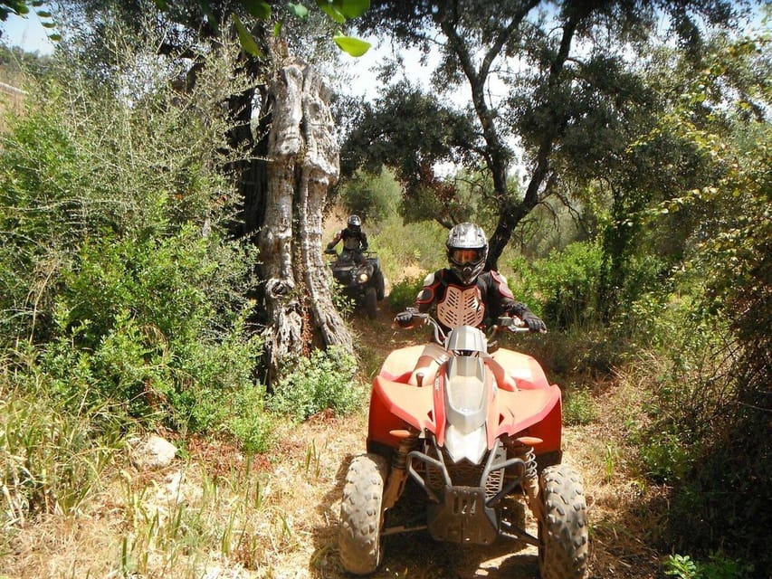 From Albufeira: Paderne Adventure Quad Ride - Should you book it?