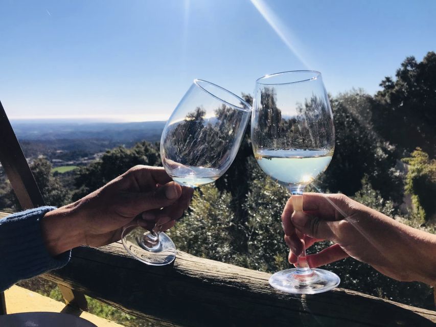 From Albufeira: Wine Tasting & Historic Silves Tour - Why Silves Adds More Than a Photo Stop