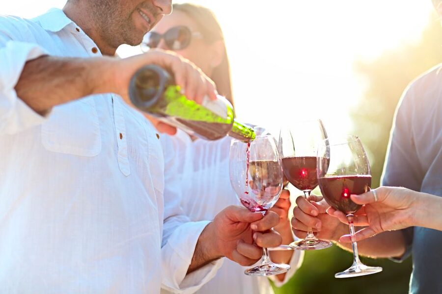 From Albufeira: Wine Tasting & Historic Silves Tour - Price, Comfort, and Practical Value