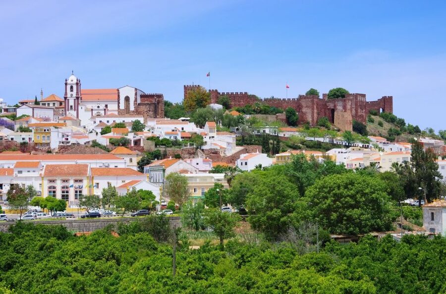 From Albufeira: Wine Tasting & Historic Silves Tour - Who Will Enjoy This Tour Most