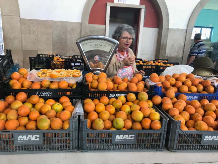 From Albufeira: Wine Tasting & Historic Silves Tour - Should You Book the Silves and Wine Tour?