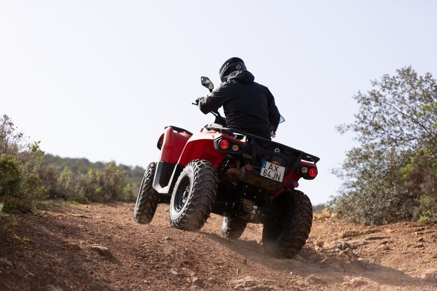 From Almancil: Quad Tour in Algarve Countryside - Almond groves and carob trees