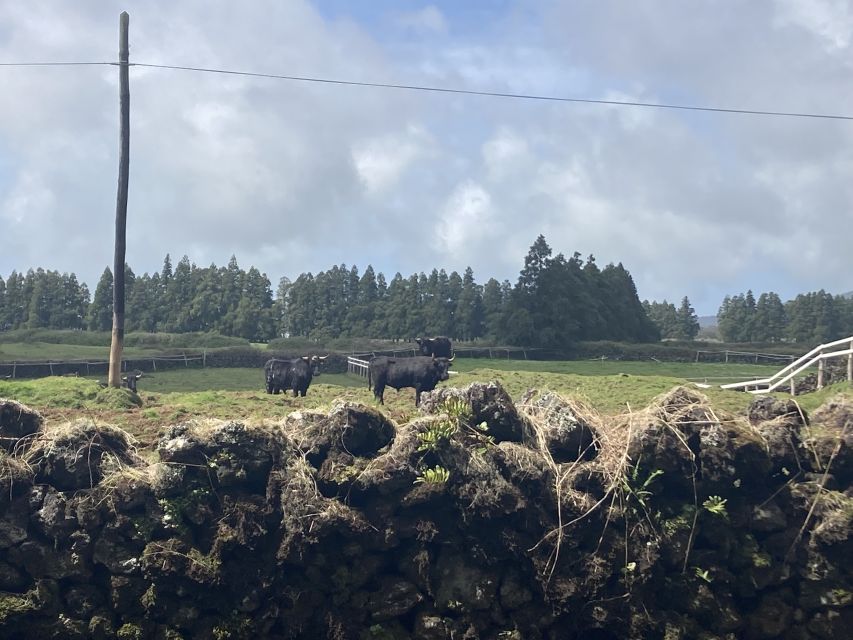 From Angra: Terceira Island Full-Day Tour - Transport, comfort, and practical limits
