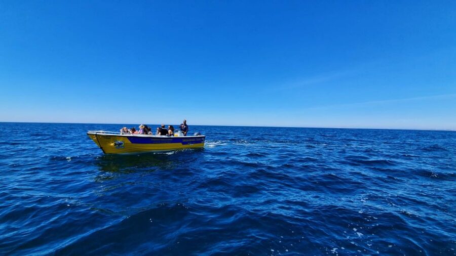 From Benagil: Benagil Cave & Marinha Beach Express Tour - Entering Benagil Cave