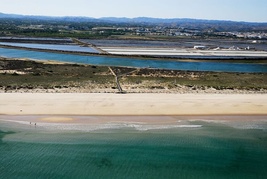 From Cabanas de Tavira: Octopus Route - Who should book the Octopus Route?