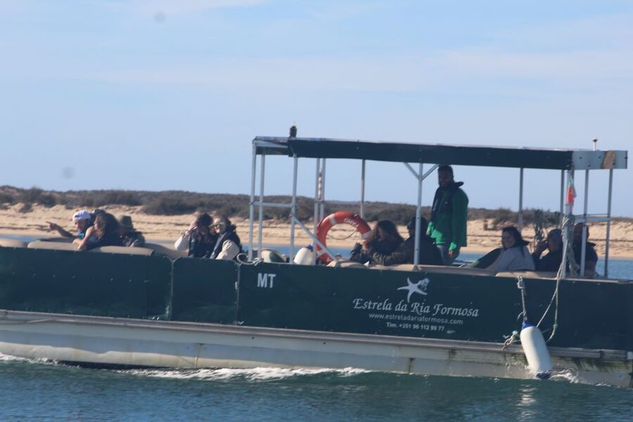 From Faro: 2-Island, 2-Stop Ria Formosa Catamaran Tour - Deserta Island: 45 minutes for sand, water, and a short walk