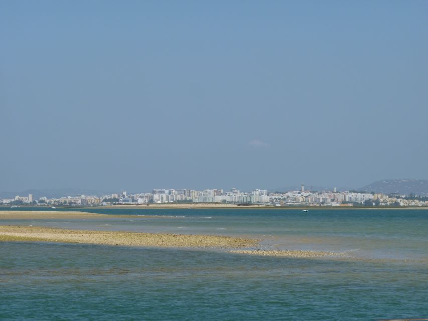 From Faro: 2-Island, 2-Stop Ria Formosa Catamaran Tour - Price, timing, and what you receive for $41