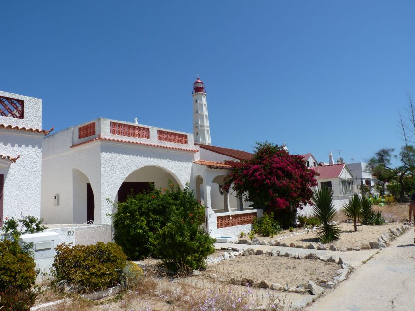 From Faro: 2-Island, 2-Stop Ria Formosa Catamaran Tour - Who will enjoy this Faro boat trip